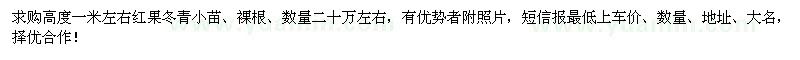 求購高1米紅果冬青小苗