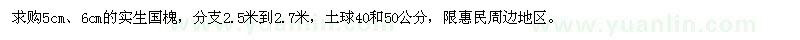 求購5、6公分實(shí)生國(guó)槐