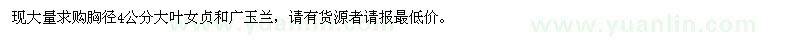 求購胸徑4公分大葉女貞、廣玉蘭
