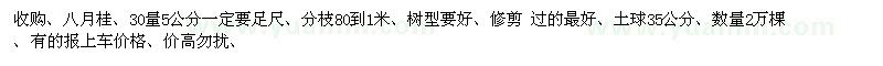 求購30量5公分八月桂