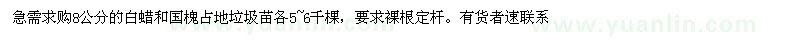 求購白蠟、國槐垃圾苗