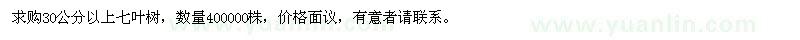 求購30公分以上七葉樹