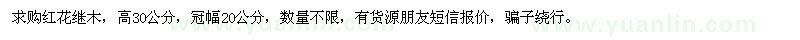 求購高30公分紅花繼木