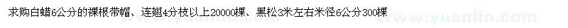 求購(gòu)白蠟、連翹、黑松