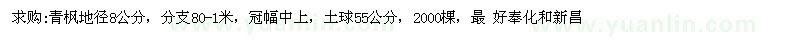 求購地徑8公分青楓