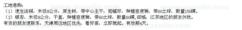求購8公分速生法桐、銀杏