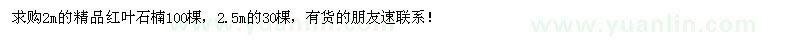 求購2米精品紅葉石楠