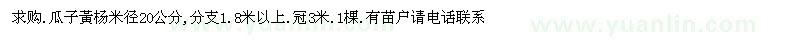 求購米徑20公分瓜子黃楊
