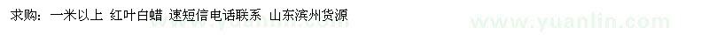求購1米以上紅葉白蠟