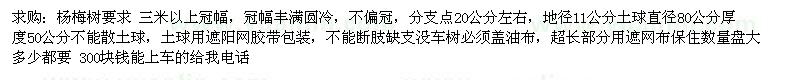 求購地徑11公分楊梅樹