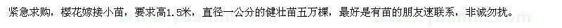 求購(gòu)高1.5米櫻花嫁接小苗