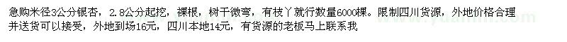 求購米徑3公分銀杏