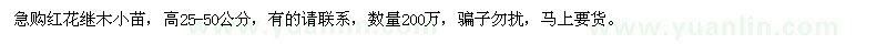 求購高25-50公分紅花繼木小苗