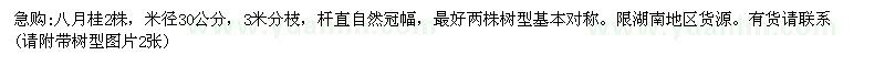 求購米徑30公分八月桂