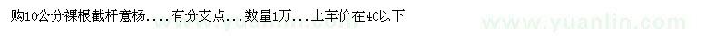 求購10公分意楊