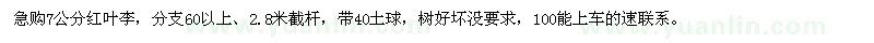 求購7公分紅葉李
