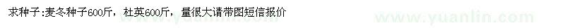 求購麥冬種子、杜英種子