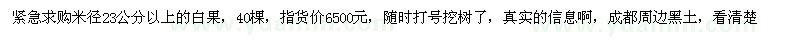 求購米徑23公分以上白果