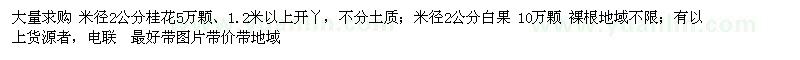 求購2公分桂花、銀杏 