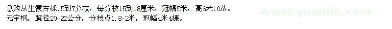 求購(gòu)冠幅5米叢生蒙古櫟、胸徑20-22公分元寶楓