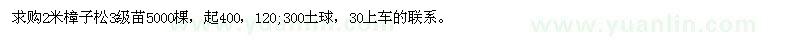 求購(gòu)2米樟子松