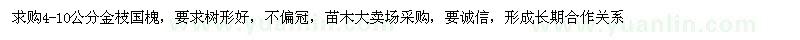 求購4-10公分金枝國(guó)槐