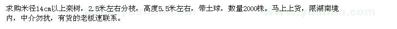 求購米徑14公分以上欒樹