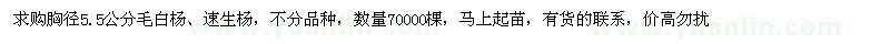 求購(gòu)胸徑5.5公分毛白楊、速生楊