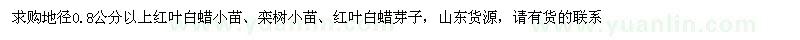 求購(gòu)地徑0.8公分以上紅葉白蠟、欒樹(shù)、紅葉白蠟