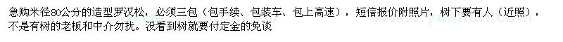 求購米徑80公分造型羅漢松