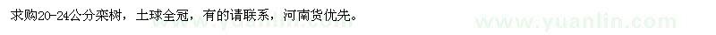 求購20-24公分欒樹