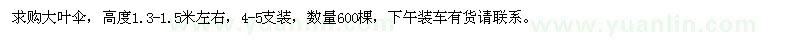 求購高1.3-1.5米大葉傘