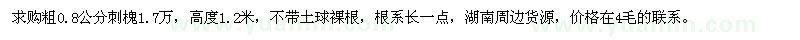 求購粗0.8公分刺槐