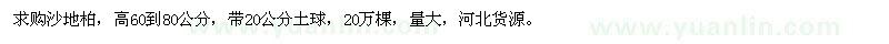 求購高60-80公分沙地柏