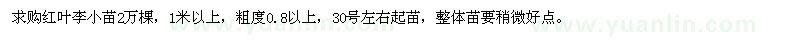 求購(gòu)1米以上紅葉李小苗