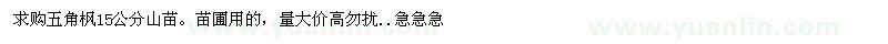 求購15公分五角楓