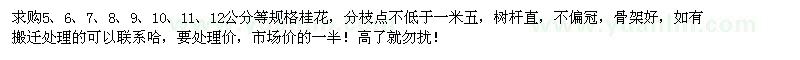 求購5、6、7、8、9、10、11、12公分桂花