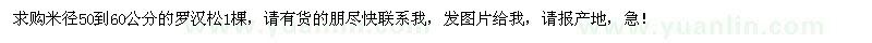 求購米徑50-60公分羅漢松
