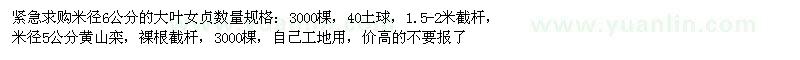 求購米徑6公分大葉女貞、米徑5公分黃山欒