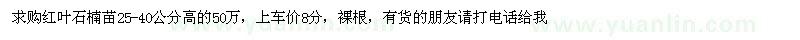 求購高25-40公分紅葉石楠