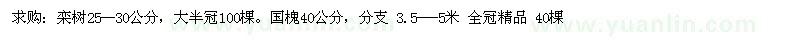 求購25-30公分欒樹