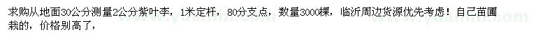 求購2公分紫葉李