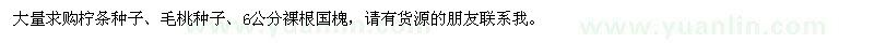 求購檸條種子、毛桃種子、6公分裸根國槐