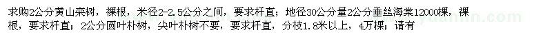 求購2公分黃山欒樹(shù)、垂絲海棠、圓葉樸樹(shù)