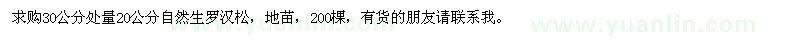 求購30公分處量20公分羅漢松