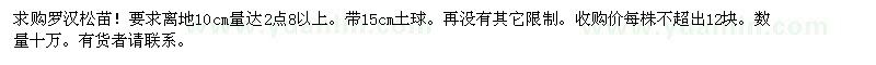 求購(gòu)羅漢松苗
