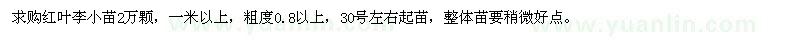 求購一米以上紅葉李小苗