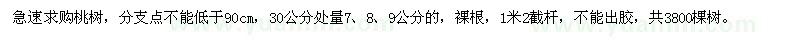 求購30公分處量7、8、9公分桃樹(shù)