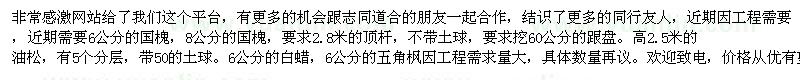 求購國槐、油松、白蠟等