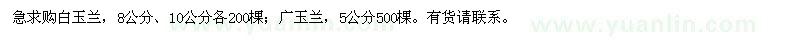 求購8、10公分白玉蘭、5公分廣玉蘭